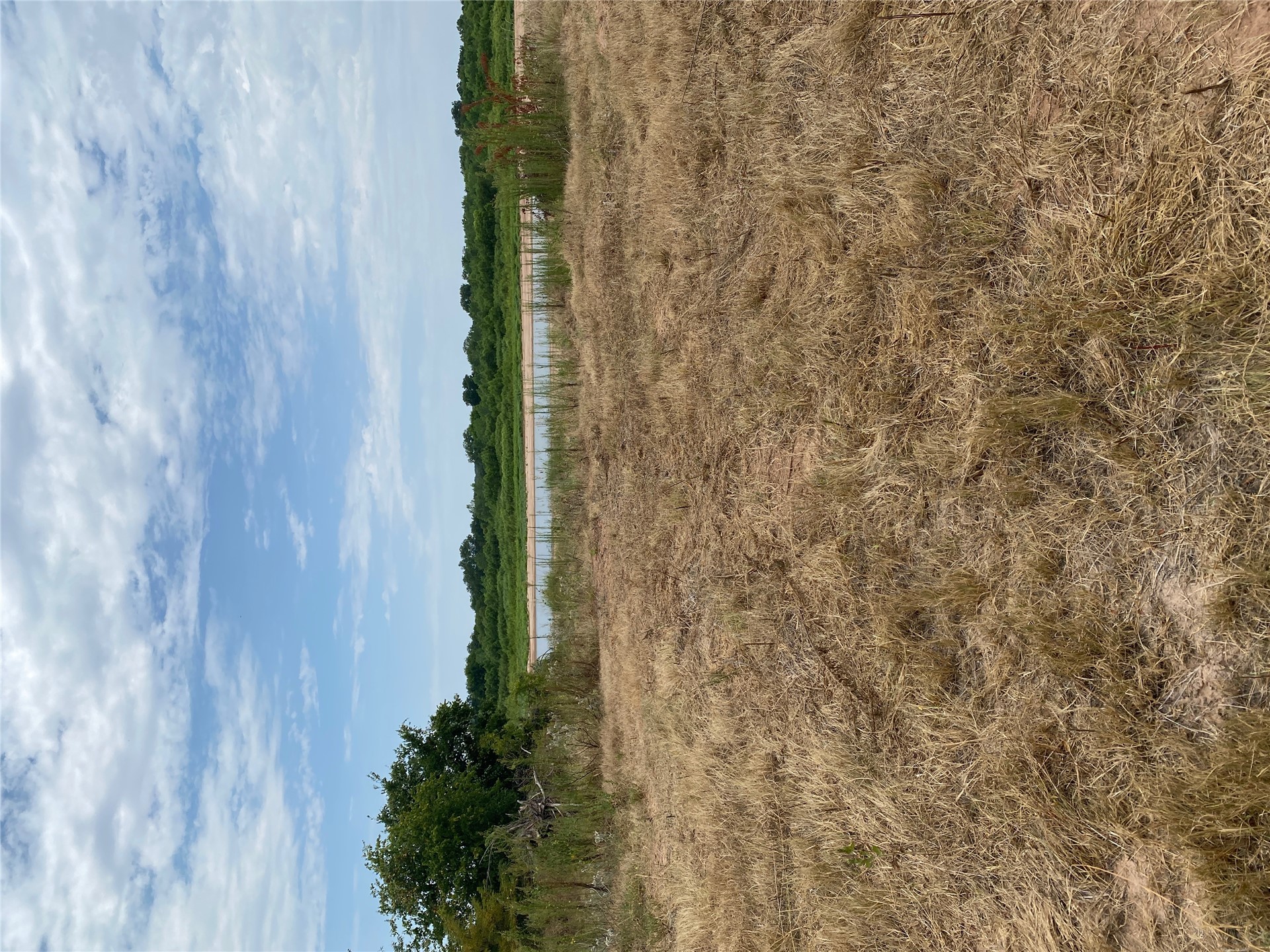 0000 Mac Frazier Road Property Photo 29