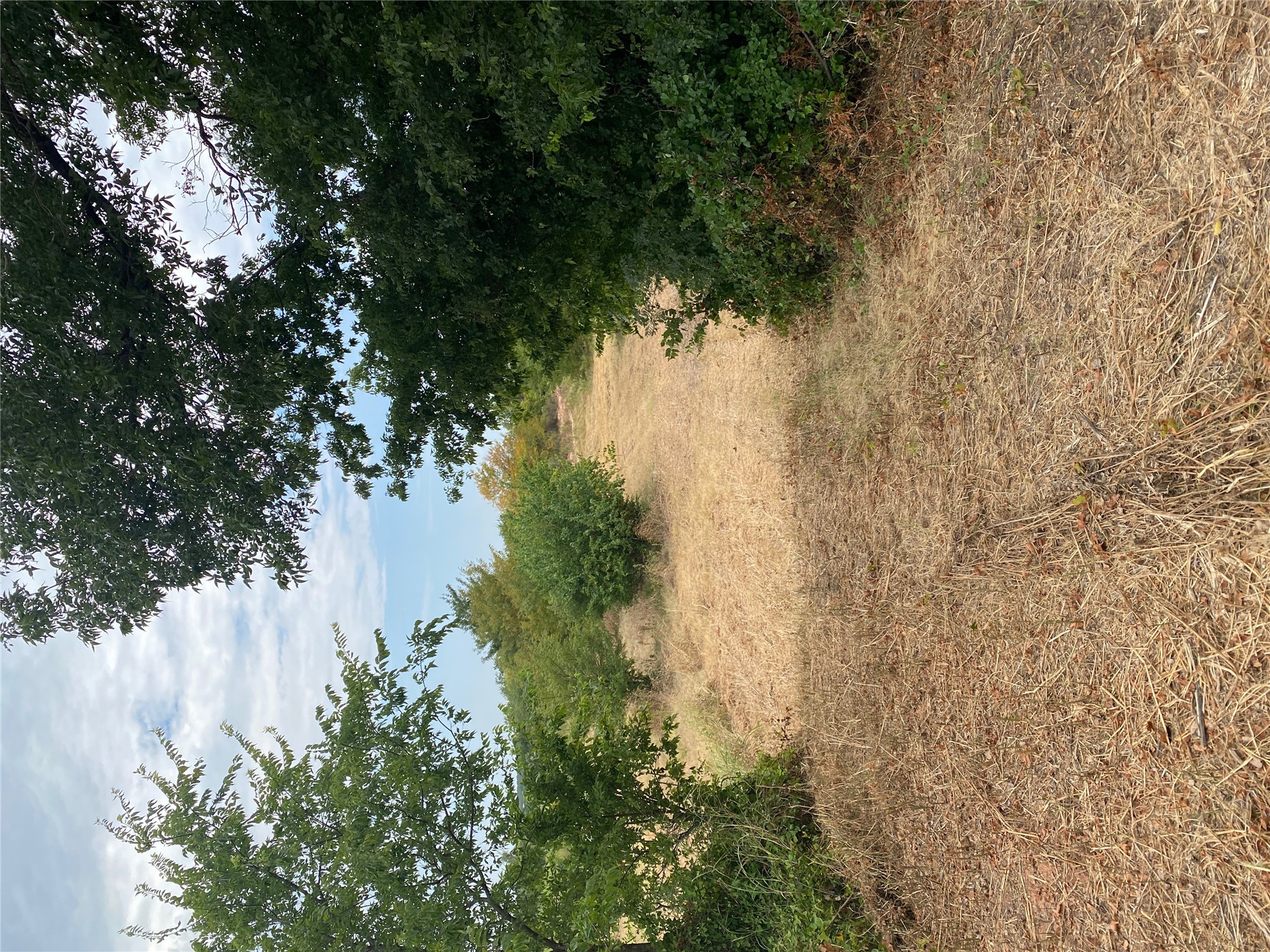 0000 Mac Frazier Road Property Photo 30