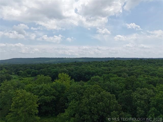 State Hwy 31 Property Photo 4