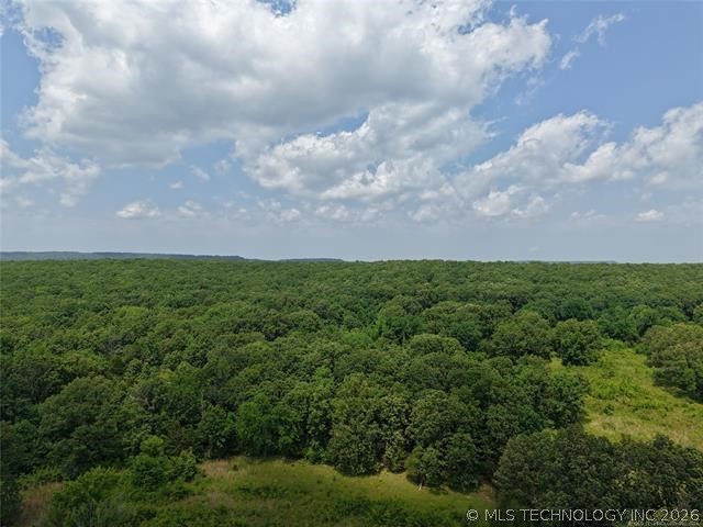 State Hwy 31 Property Photo 8