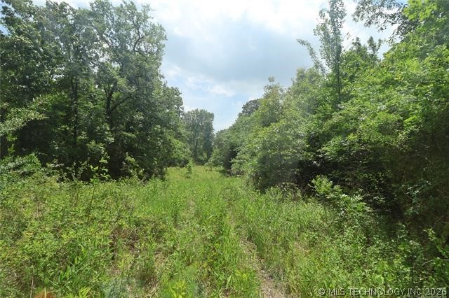 State Hwy 31 Property Photo 12