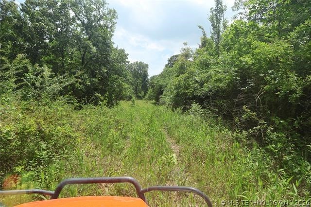 State Hwy 31 Property Photo 13