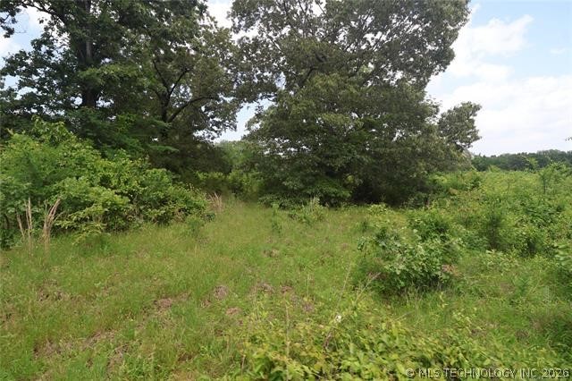 State Hwy 31 Property Photo 15