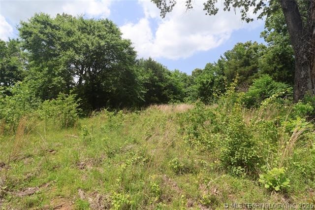 State Hwy 31 Property Photo 16