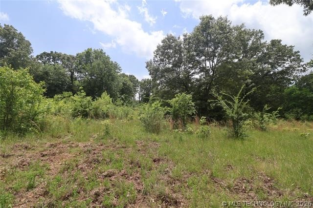 State Hwy 31 Property Photo 18