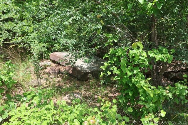 State Hwy 31 Property Photo 19