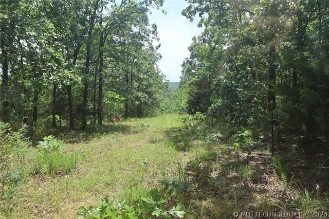 State Hwy 31 Property Photo 20