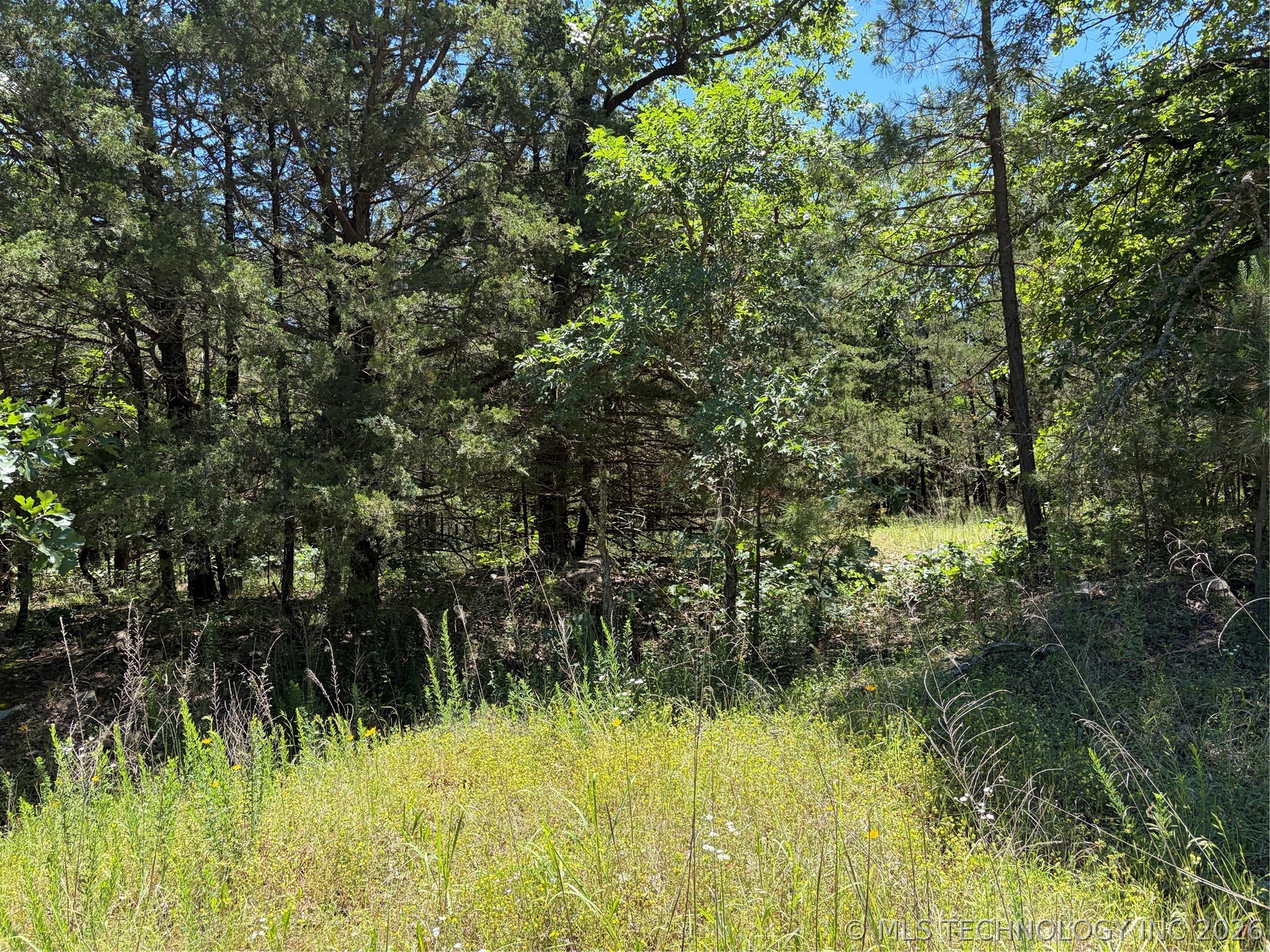 John's Valley Road Property Photo 4