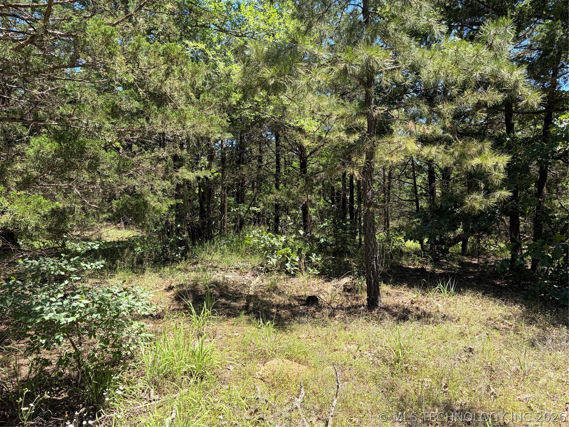 John's Valley Road Property Photo 5