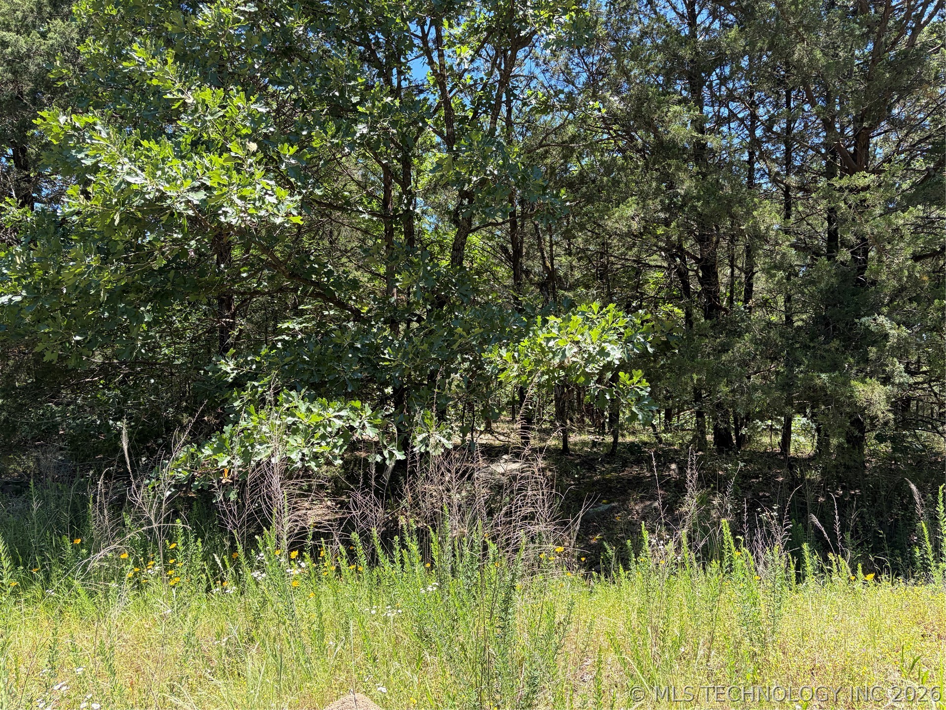 John's Valley Road Property Photo 7