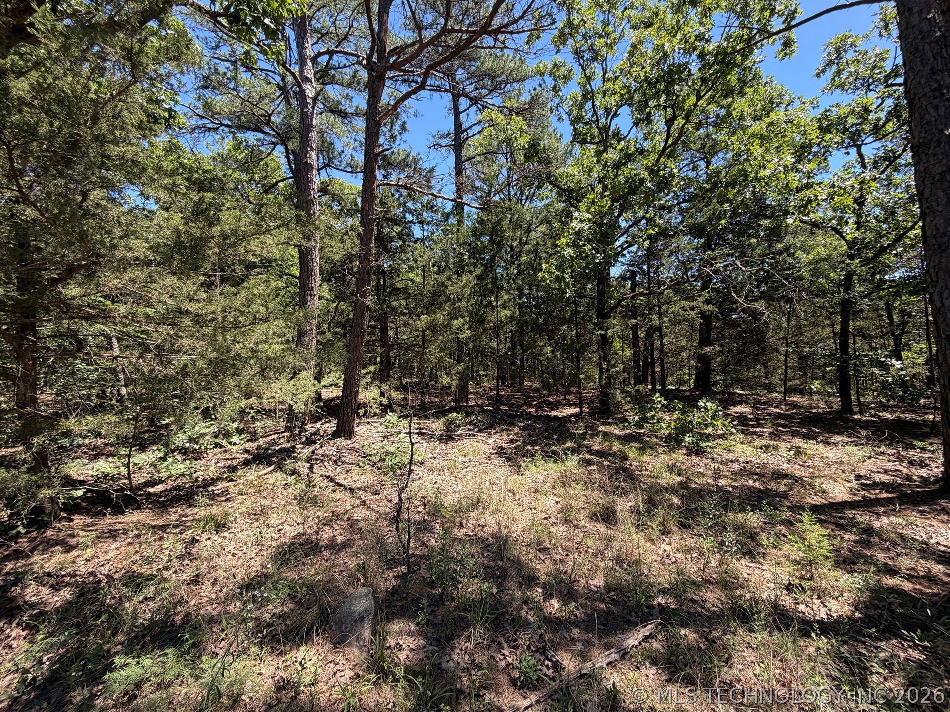 John's Valley Road Property Photo 10