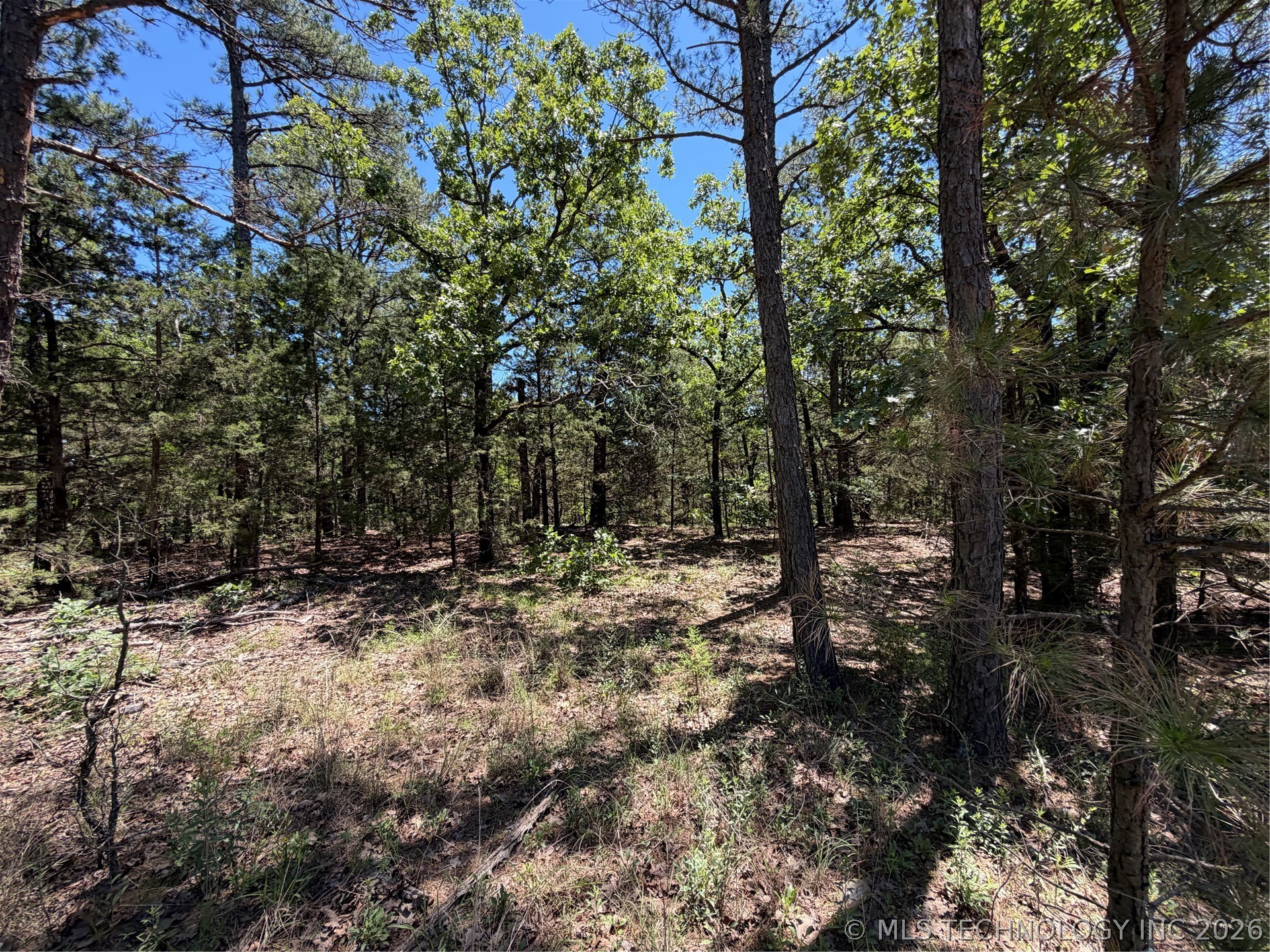John's Valley Road Property Photo 11