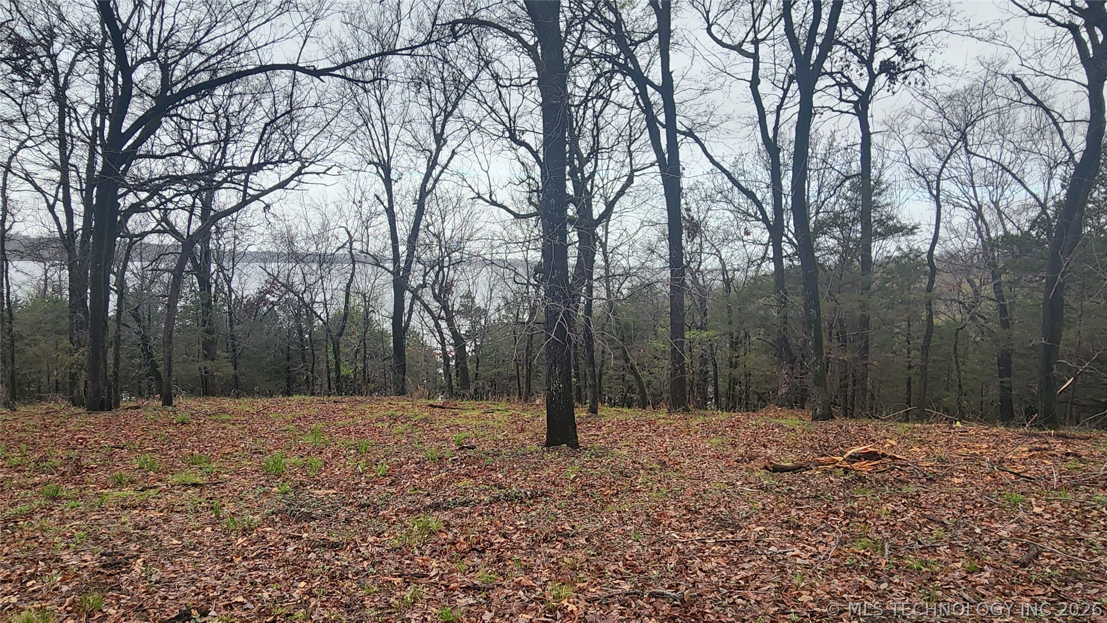 106 Patriot Pointe Property Photo 7