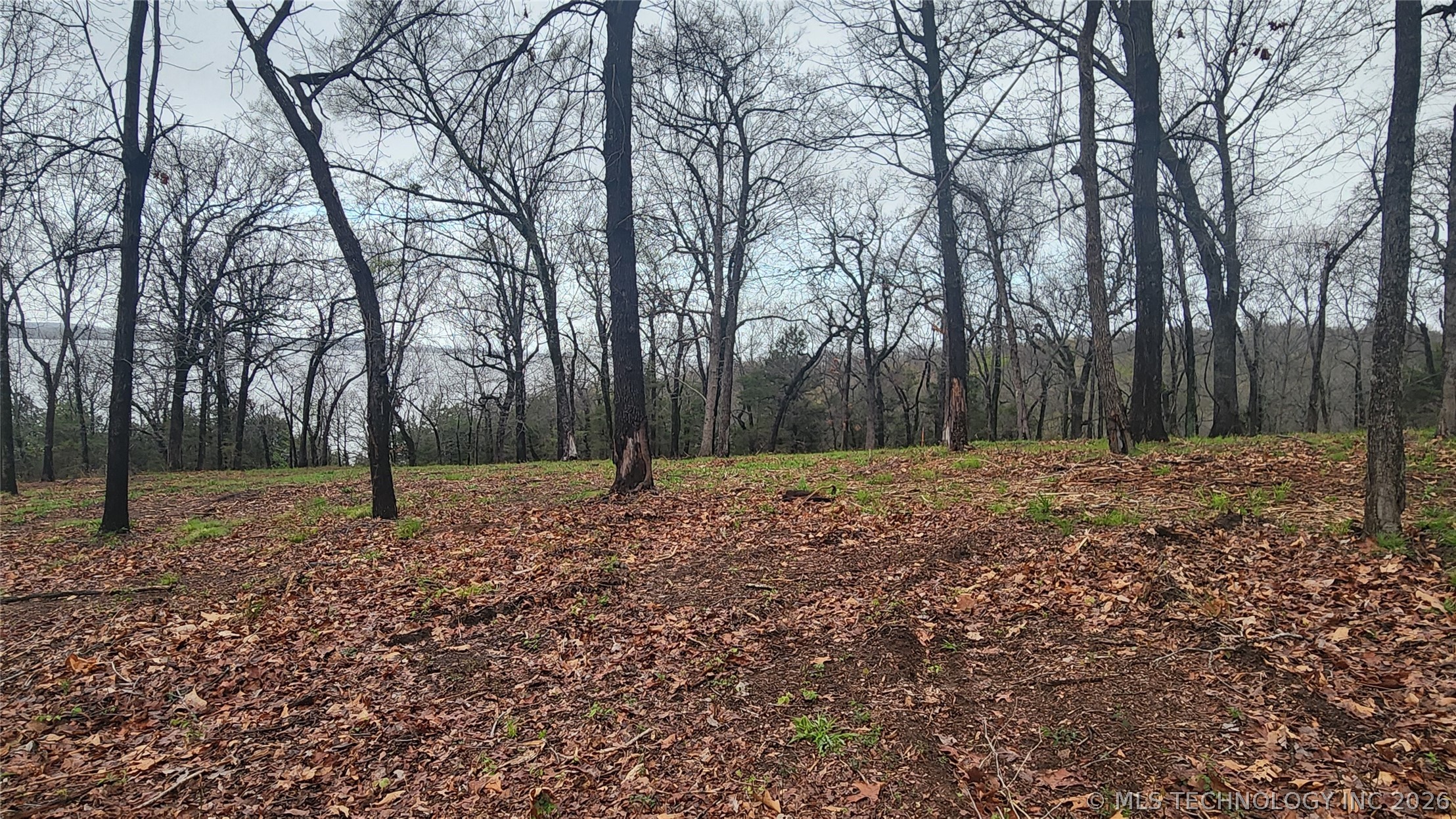 106 Patriot Pointe Property Photo 10