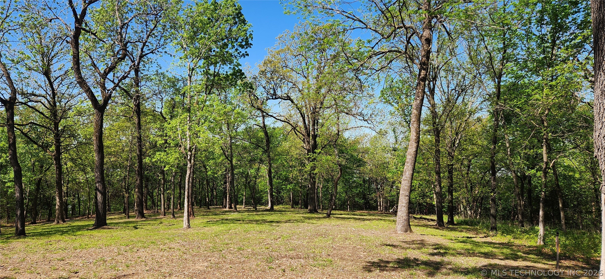 106 Patriot Pointe Property Photo 12
