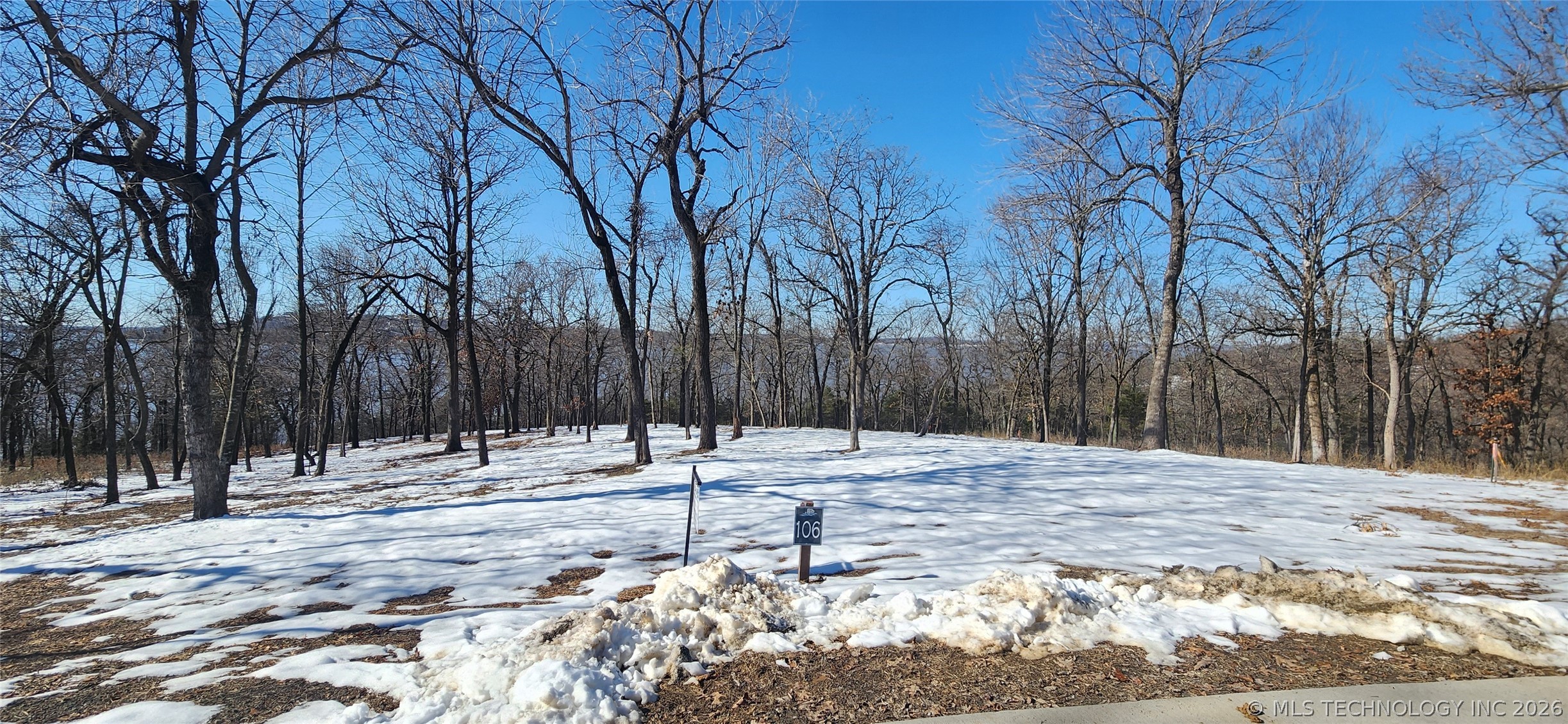 106 Patriot Pointe Property Photo 16