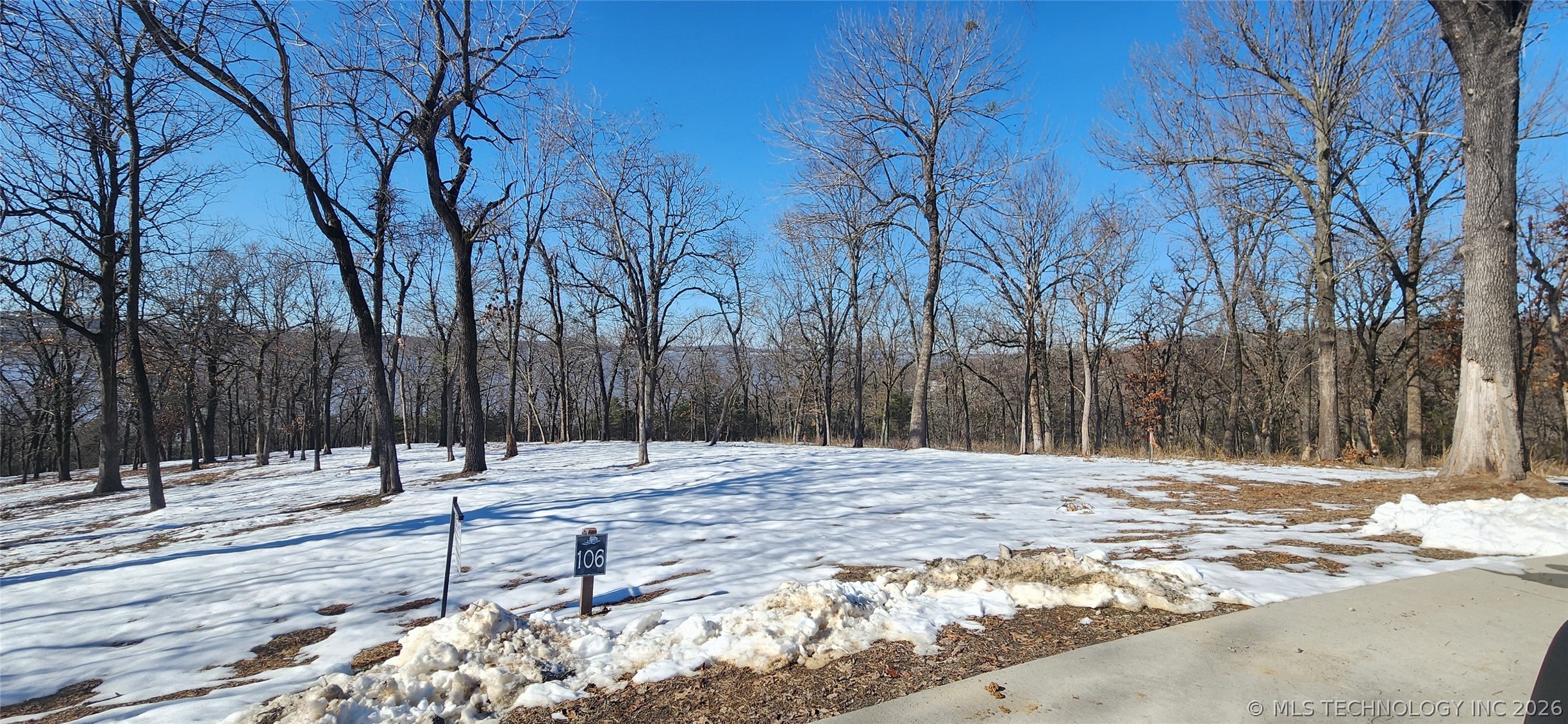 106 Patriot Pointe Property Photo 17