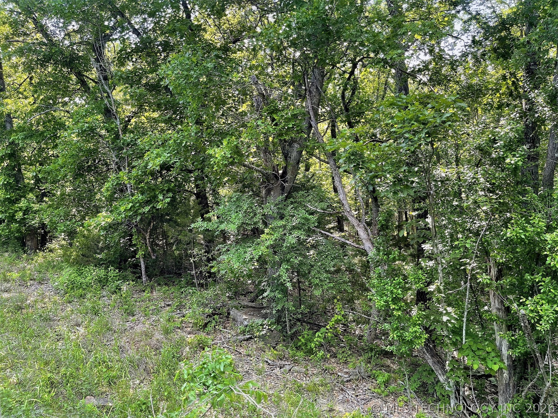 S Hickory Lane Property Photo 12