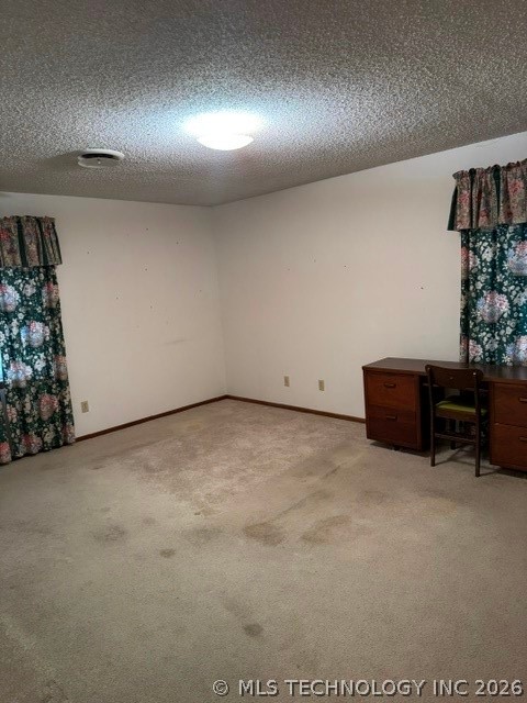 1311 Twin Lakes Property Photo 16