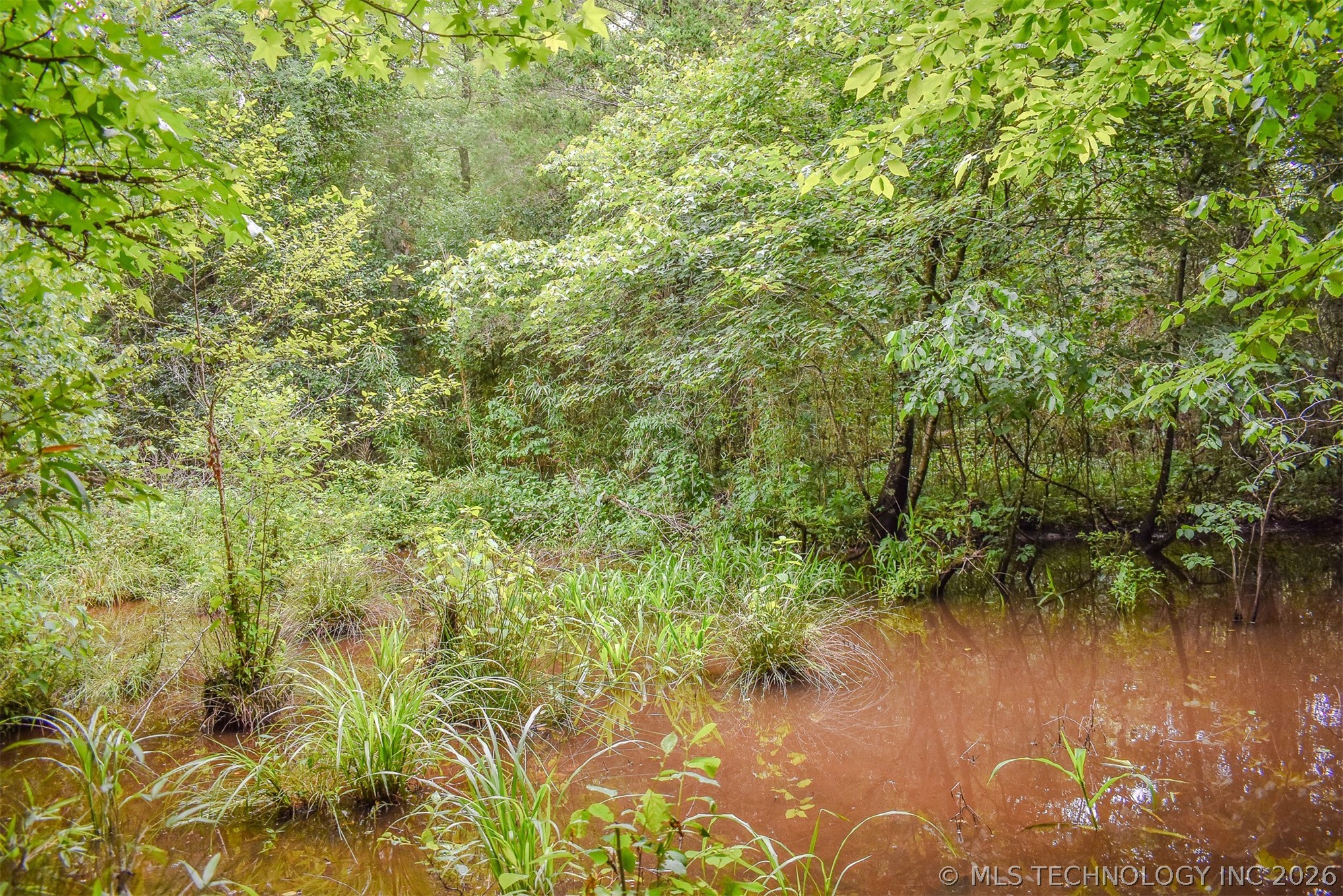 593 Tram Road Property Photo 55