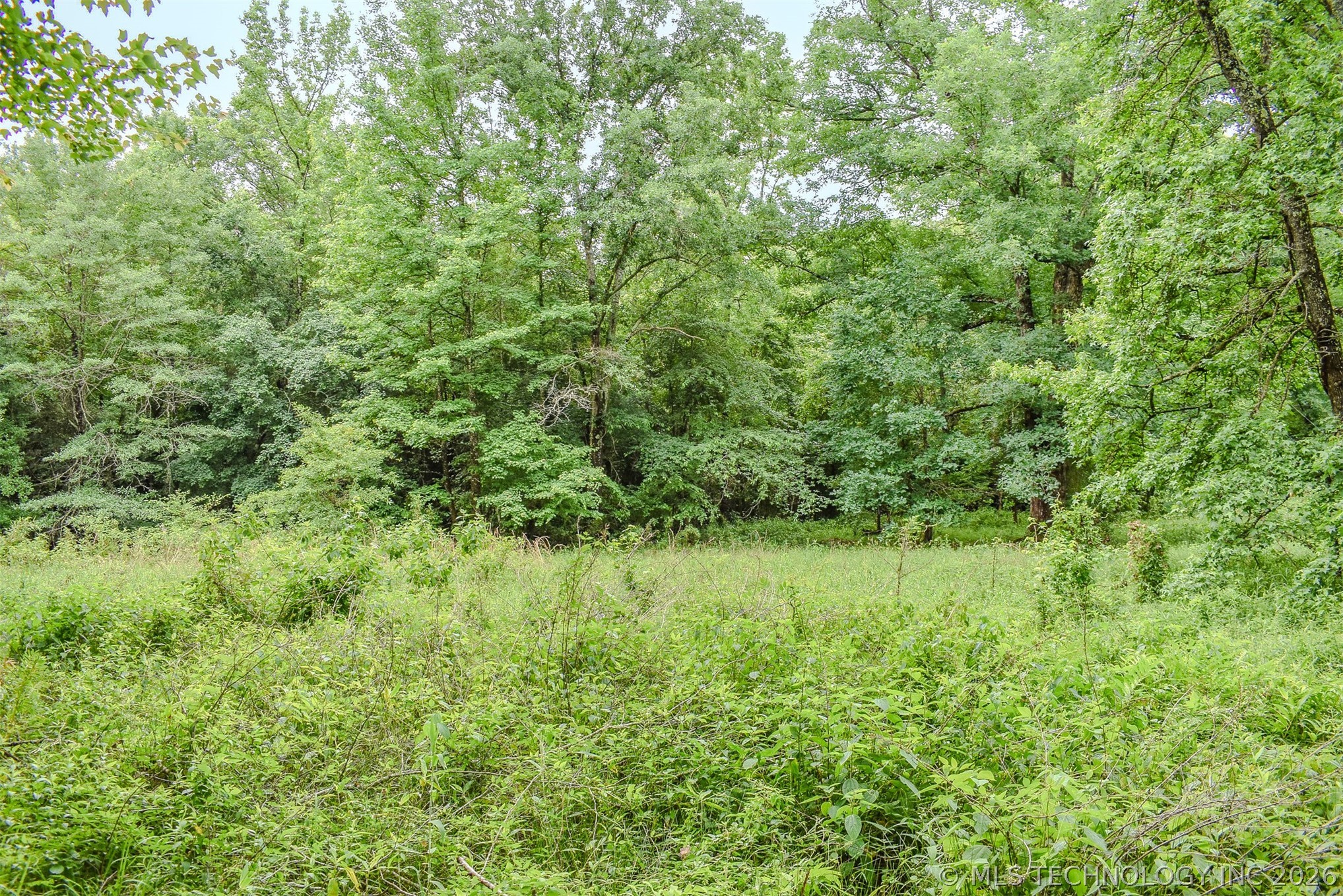 593 Tram Road Property Photo 59