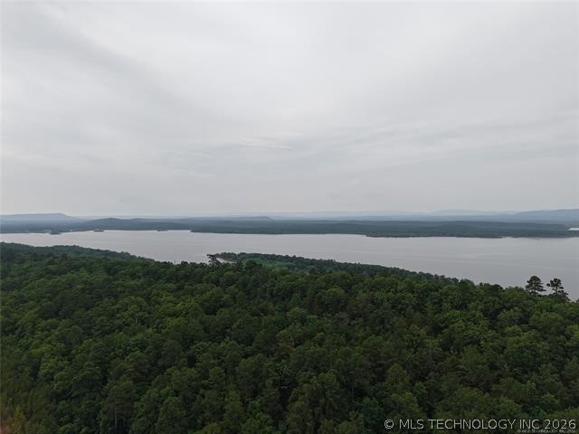 28574 Pocahontas Road Property Photo 5