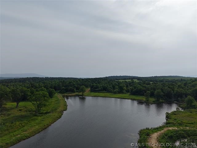 28574 Pocahontas Road Property Photo 6
