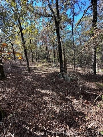 28574 Pocahontas Road Property Photo 25