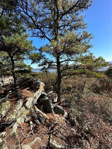 28574 Pocahontas Road Property Photo 27
