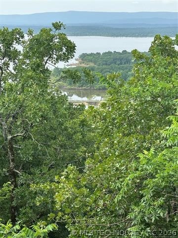 28574 Pocahontas Road Property Photo 29
