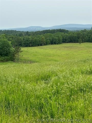 28574 Pocahontas Road Property Photo 33