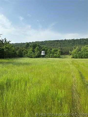 28574 Pocahontas Road Property Photo 44