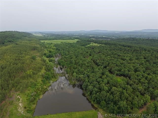 28574 Pocahontas Road Property Photo 60