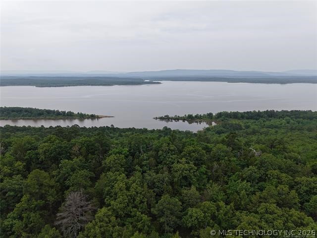 28574 Pocahontas Road Property Photo 63