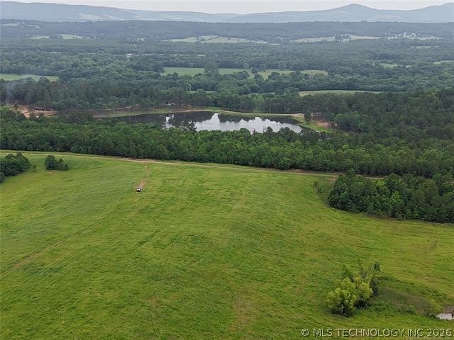 28574 Pocahontas Road Property Photo 64