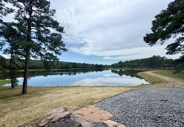 28574 Pocahontas Road Property Photo 82
