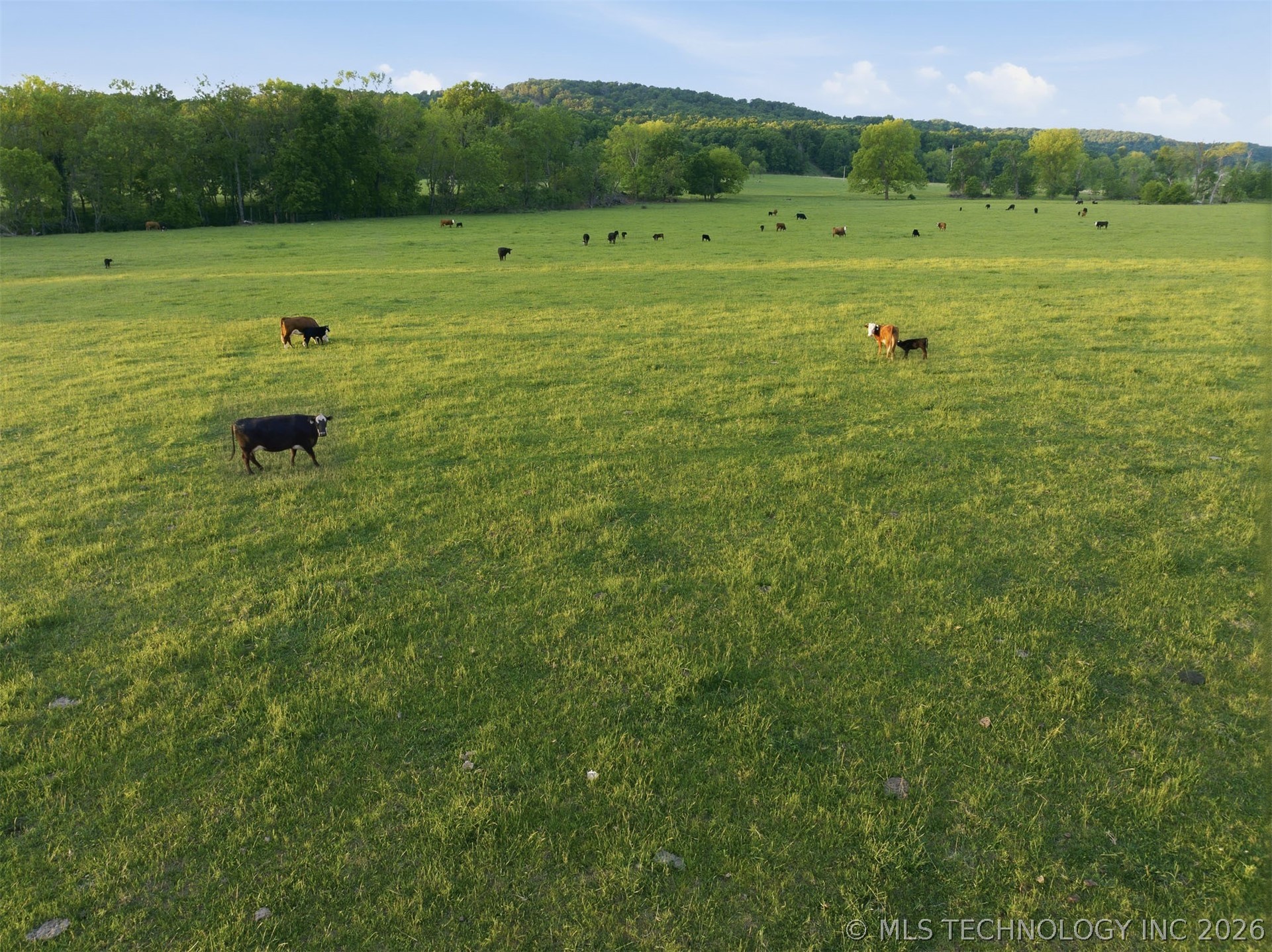 24068 E 785 Road Property Photo 90
