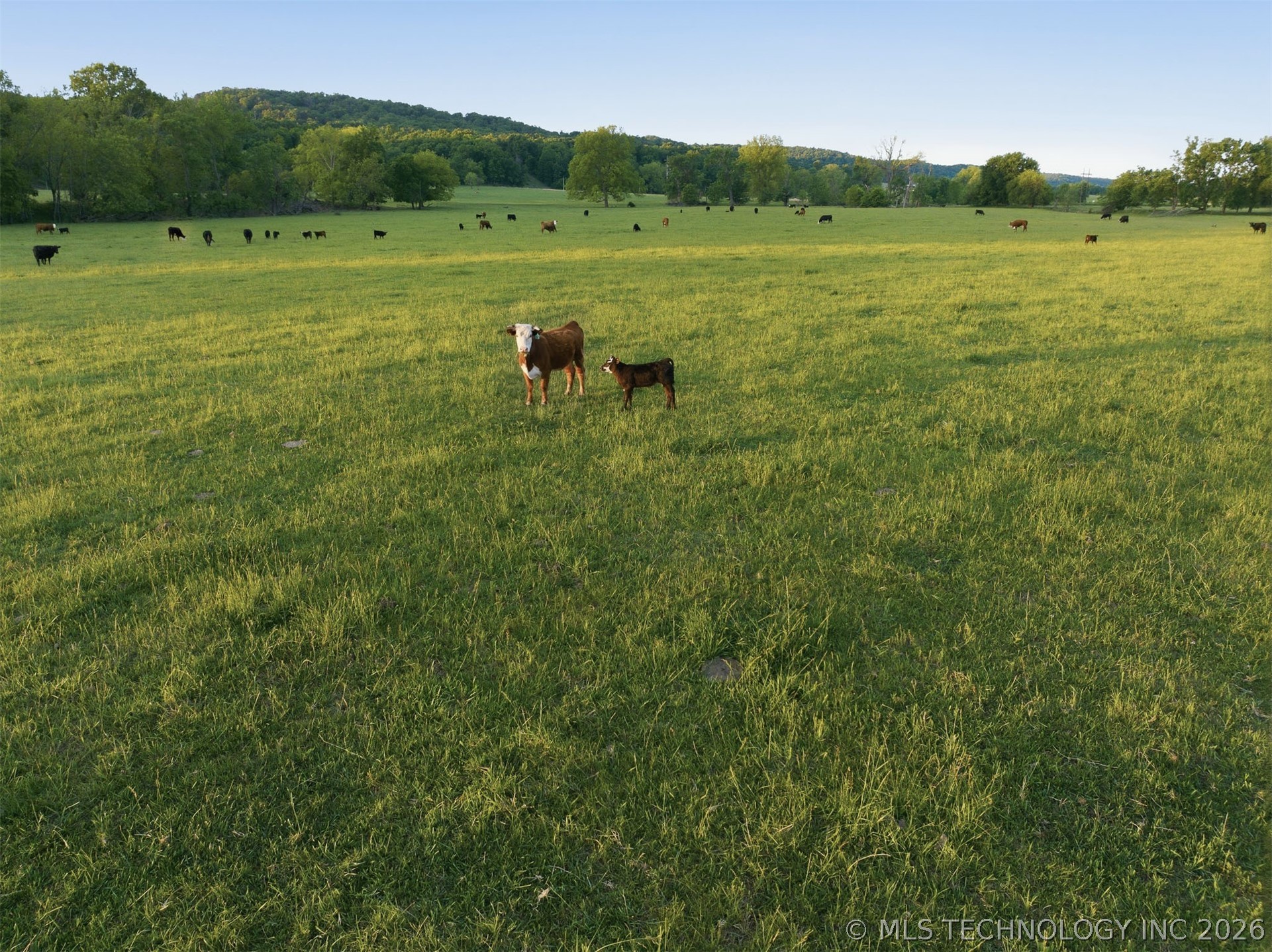 24068 E 785 Road Property Photo 91
