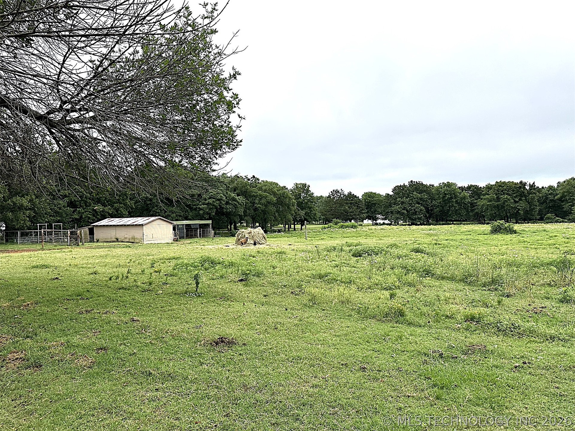 1174 Concord Property Photo 47