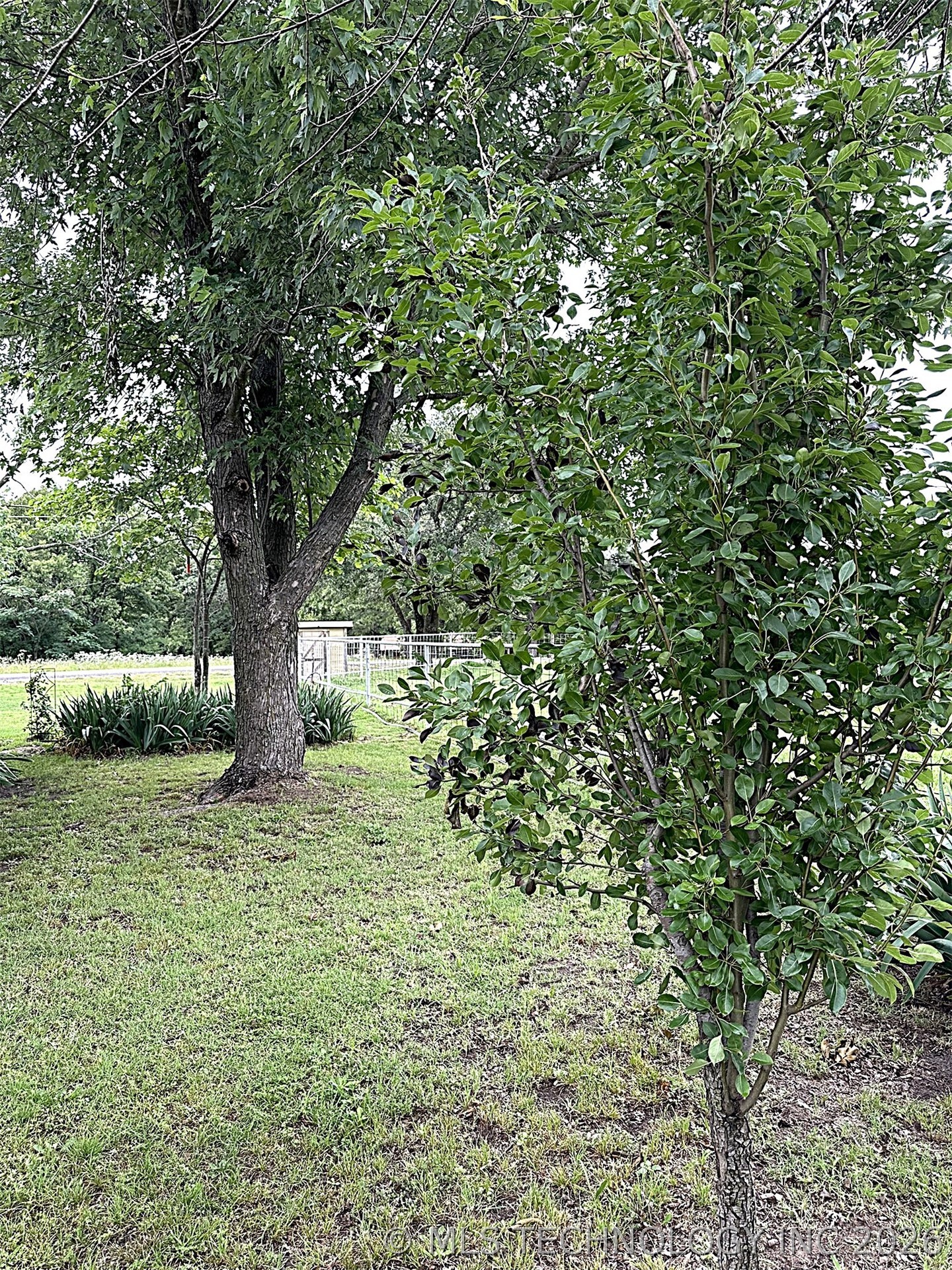 1174 Concord Property Photo 57