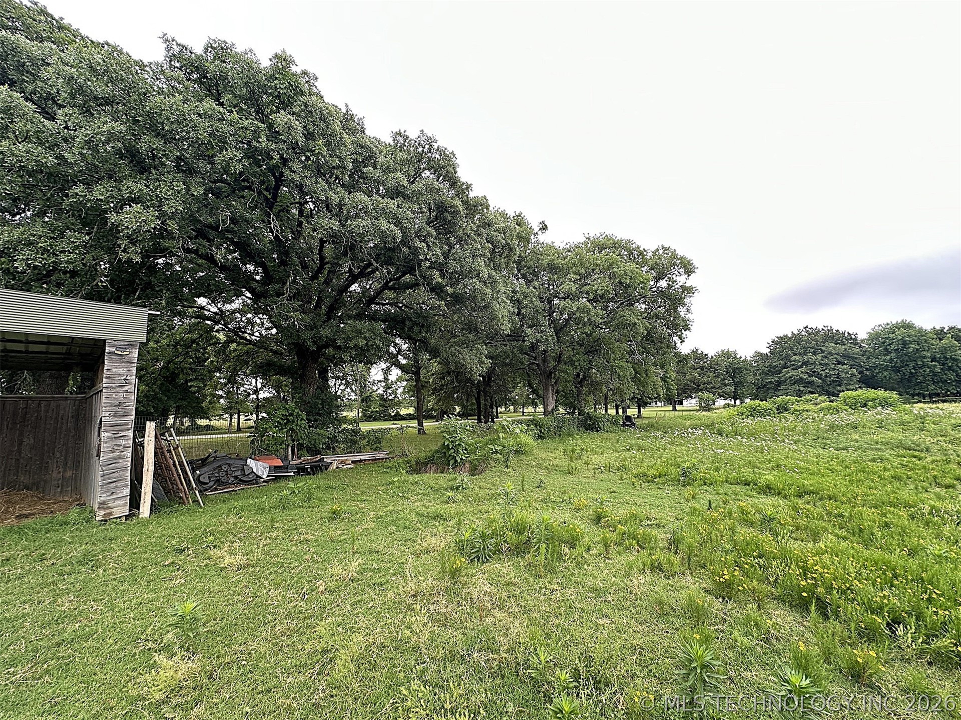 1174 Concord Property Photo 81