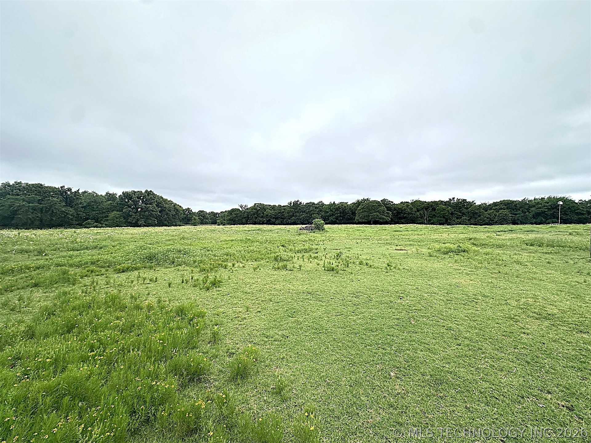 1174 Concord Property Photo 84