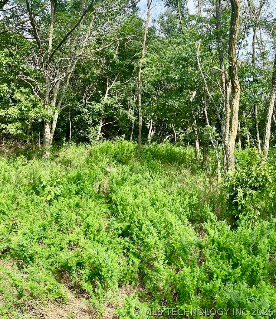 26857 E Highway 66 Highway Property Photo 4