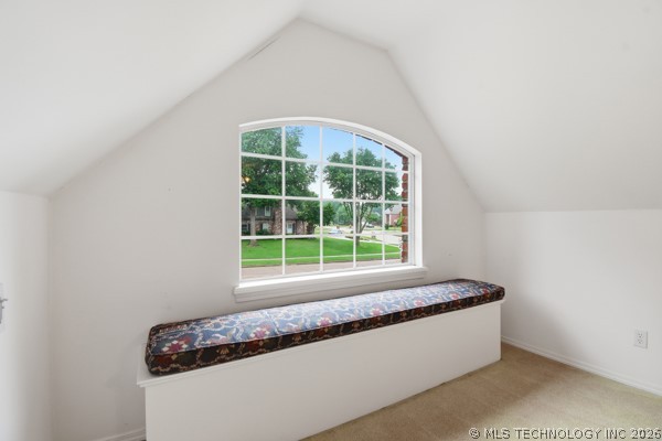 3603 S Orange Circle Property Photo 44