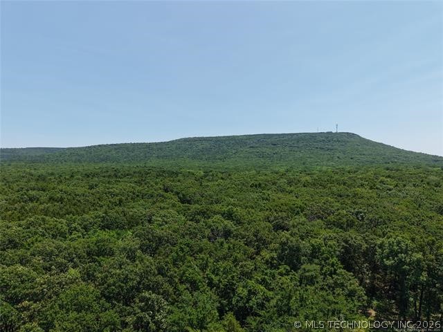 Morris Creek Property Photo 7