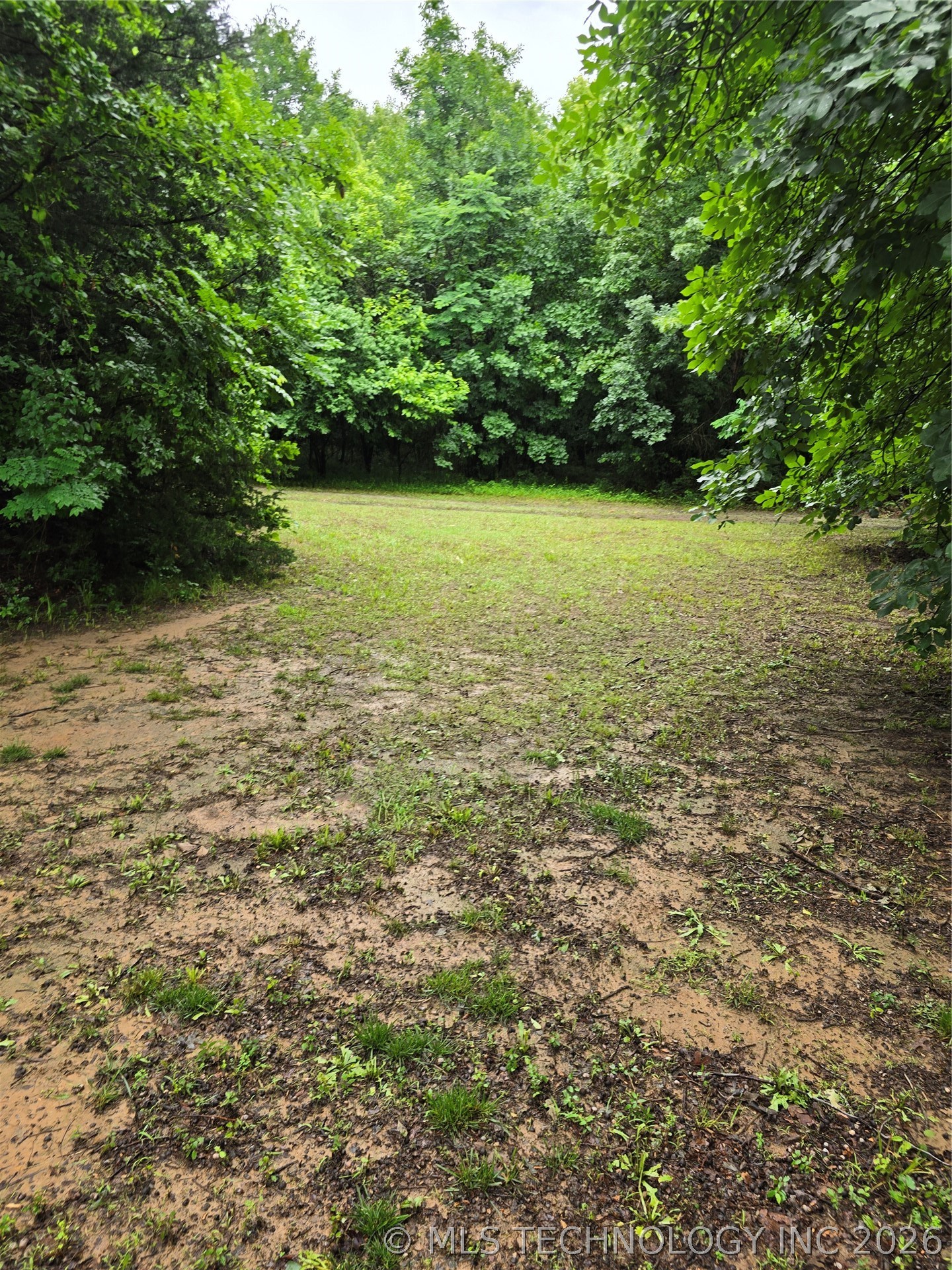 1234 36620 Road Property Photo 19
