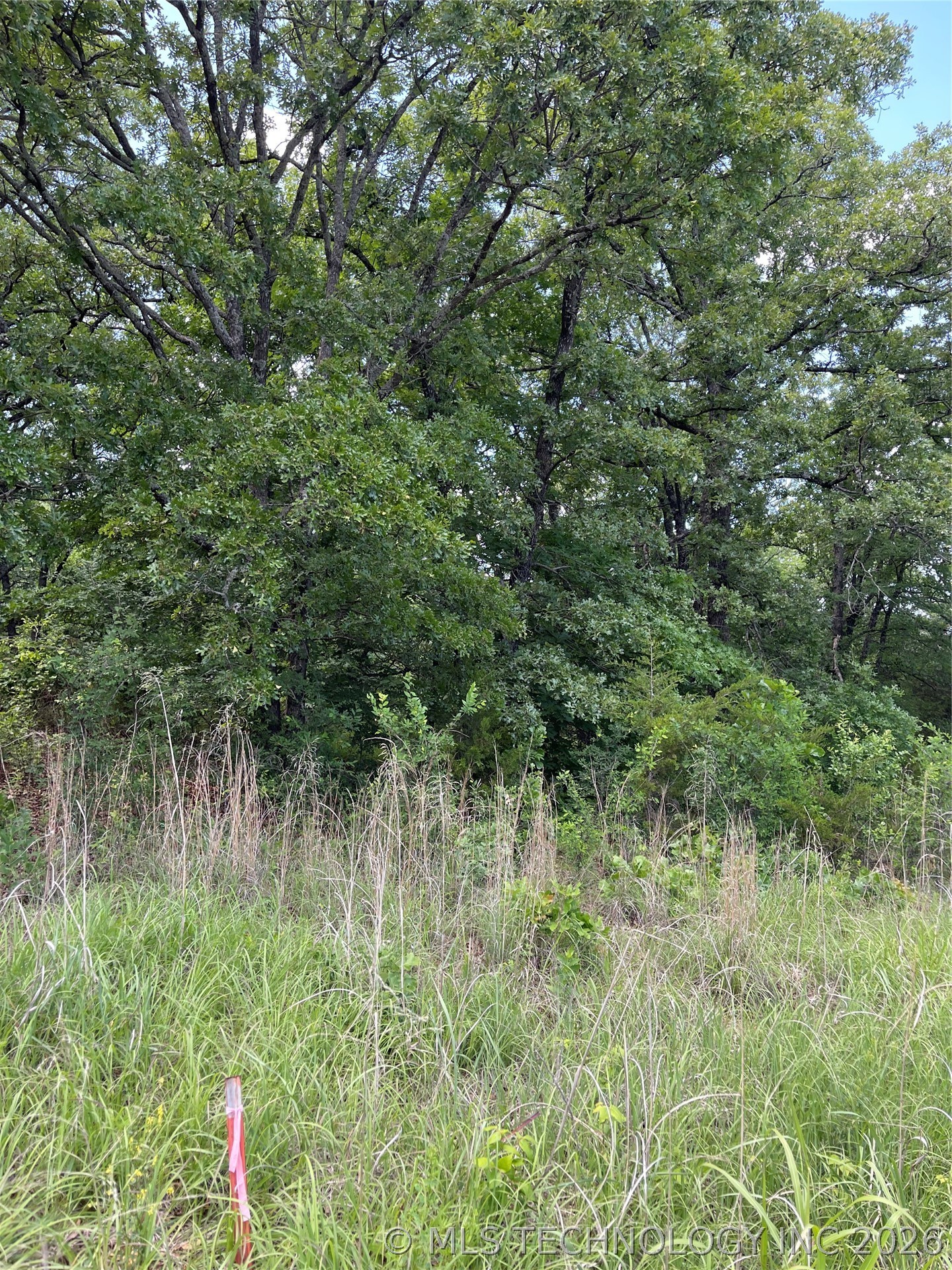 Lance Road Property Photo 1
