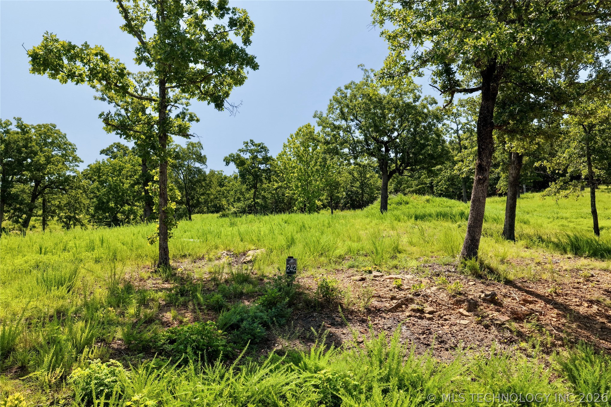 242 Patriot Pointe Property Photo 4