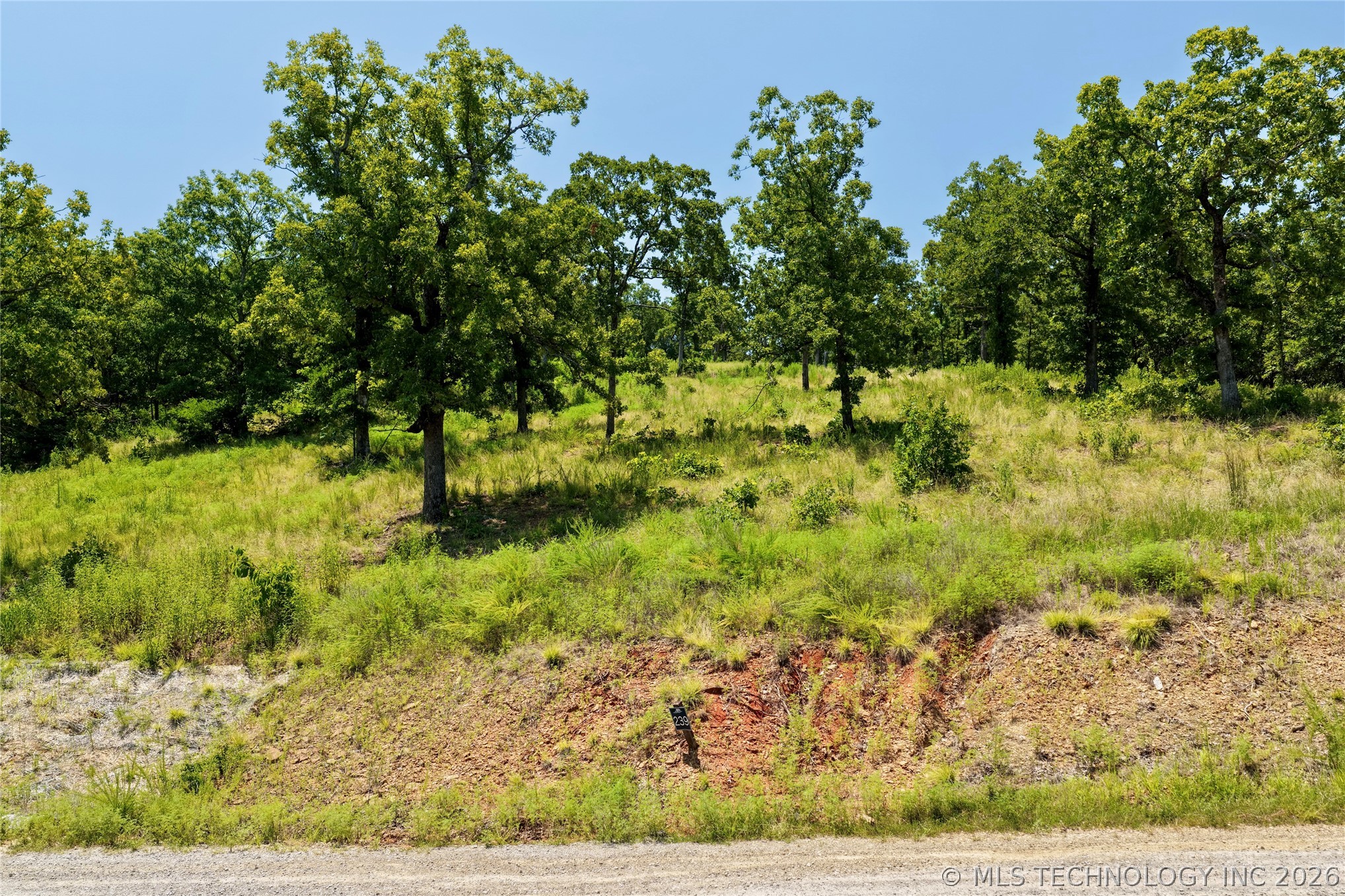 239 Patriot Pointe Property Photo 12