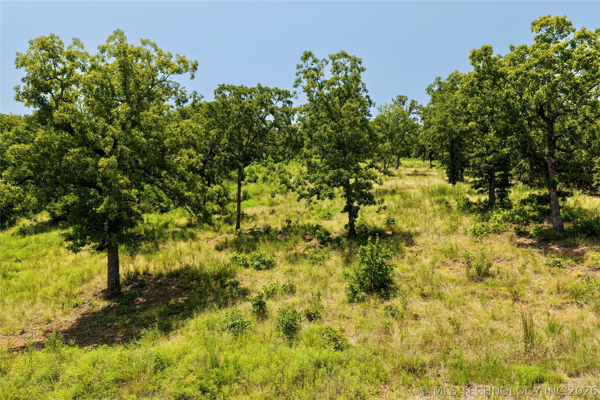 239 Patriot Pointe Property Photo 13